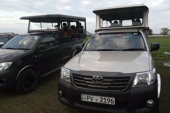 Special Leopards safari - Yala National park - 04.30 am to 11.30 am - Exploring the Itinerary: What Makes Each Part of the Safari Special