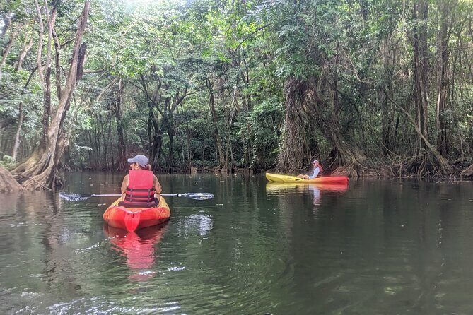 Splash Adventure Jeep and Kayak Safari - Detailed Itinerary Breakdown