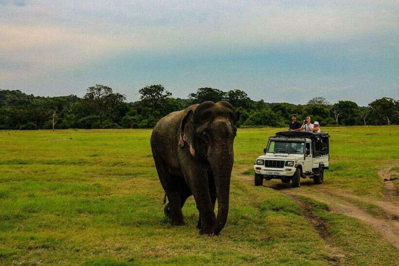 Sri Lanka: 3N4Day guided FULL TOUR with hotel accommodations - Exploring the Richness of Sri Lanka in Four Days