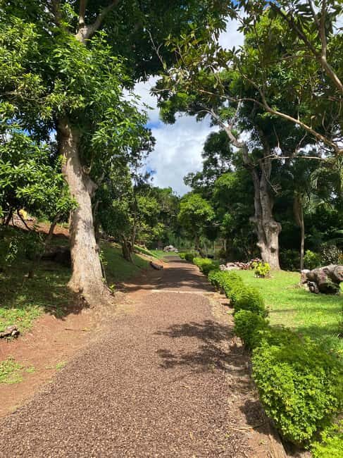 St. George's: Half-day spice and waterfall tour - The Guide and Personal Touch