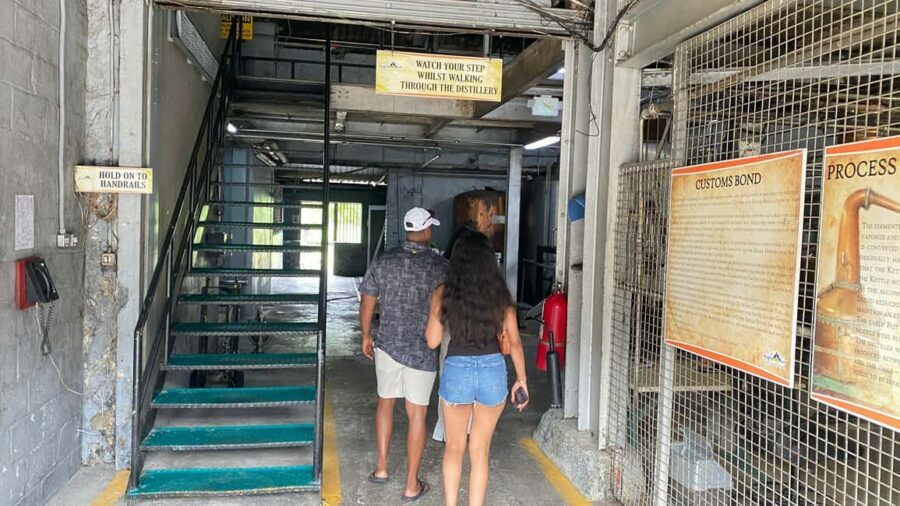 St. Lucia: Rum Distillery and Chocolate Making Experience - What to Expect from the Tour