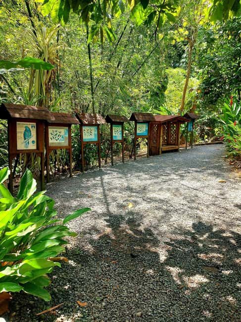 St. Lucia: Scenic Nature Hike & Botanical Garden Escape - Transportation and Timing