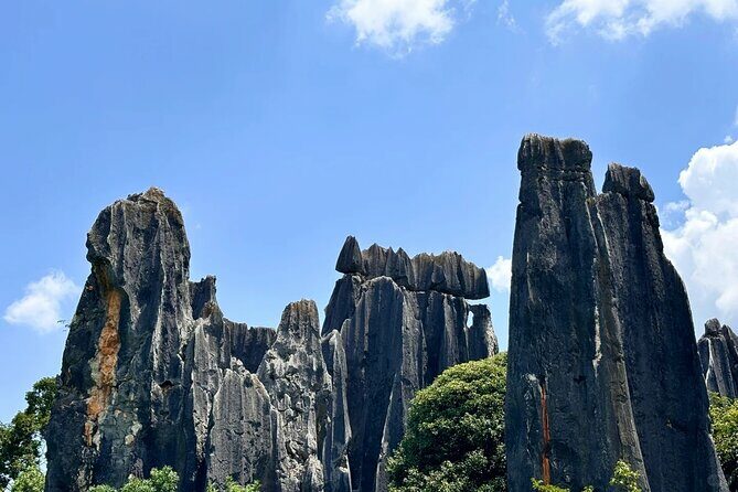 Stone Forest + Yiliang Roast Duck + Kunming City Private Tour - Who Is This Tour Best For?
