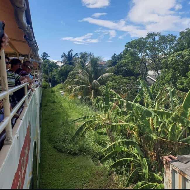 Sugar Train Tour & Drinks|Pick-Up &Drop Off From Cruise Port - Real Traveler Perspectives
