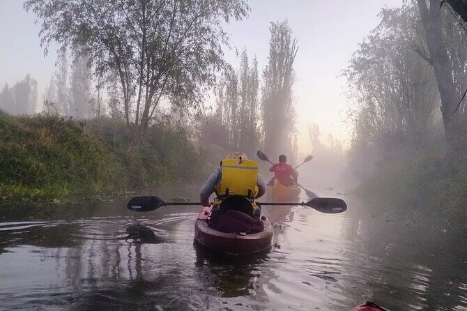 Sunrise Kayak Tour in Xochimilco - Exploring the Itinerary: What You Can Expect