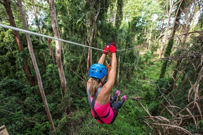 Sunshine Coast Adventure Park TreeTop Challenge - The Value of Your Adventure