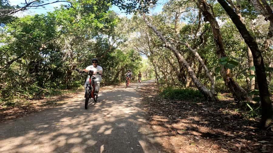 Sunshine Coast: Easy Peasy Novotel North E-Bike Tour - The Small Group Experience
