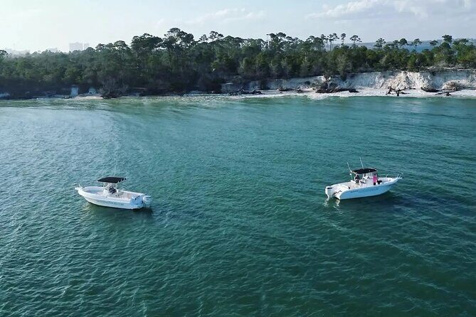 Swim with Dolphins And Snorkeling Group Tour - Final Thoughts: Is It Worth It?