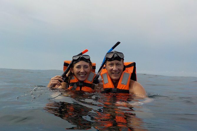 Swim with whale sharks on a private tour - Food, Equipment, and Extras