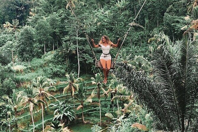 Swimming At Taman Sari Waterfall & Visit The Best Site Of Ubud - In-Depth: The Itinerary Breakdown
