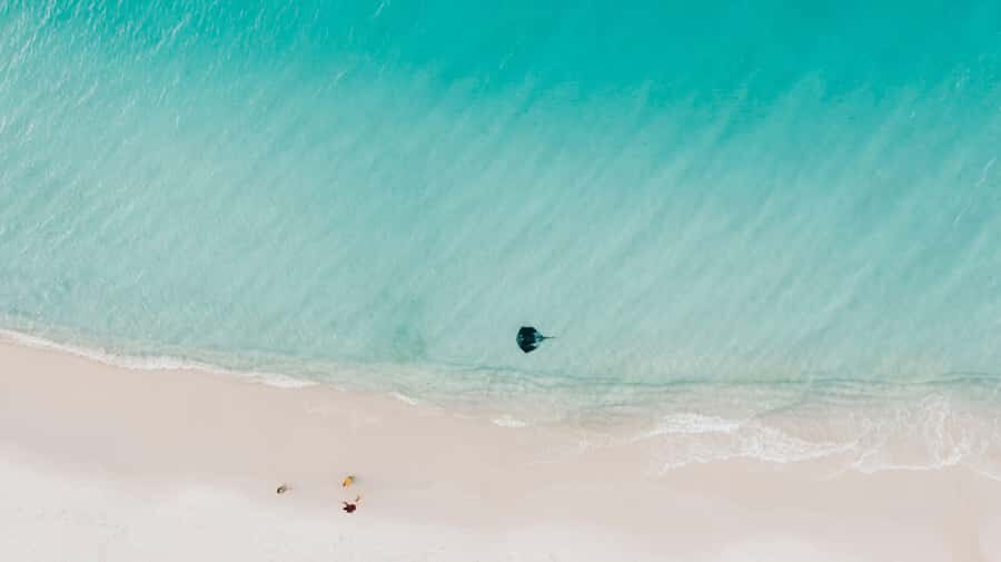 Sydney: Jervis Bay Tour with Beaches, Koalas & Kangaroos - Why This Tour Offers Real Value