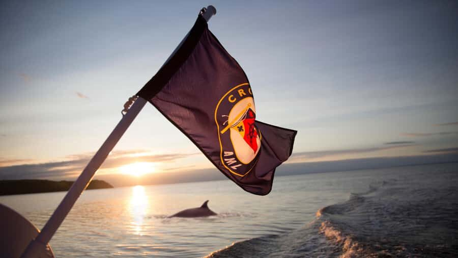 Tadoussac/Charlevoix: Whale & Fjord Morning or Twilight Tour - The Itinerary in Detail