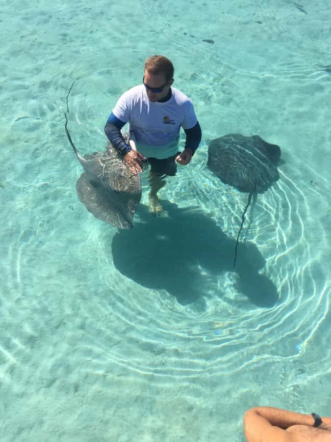Tahiti island: 4 hours Snorkeling Tour - The Itinerary in Detail