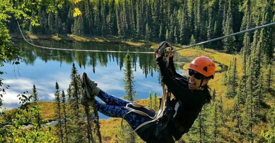 Talkeetna: Denali Zipline Tours - Value and Pricing Analysis