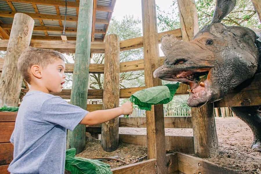 Tampa: ZooTampa at Lowry Park Ticket with Holiday Option - Analyzing the Value