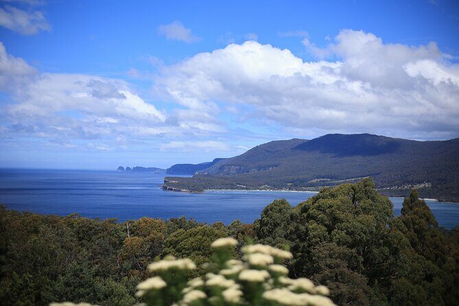 Tasman Peninsula Small-Group Guided Tour From Hobart - Who Will Love This Tour?