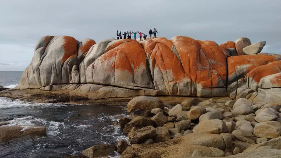Tasmania: 7-Day West to East Tour - The Practicalities: What to Expect and What’s Included
