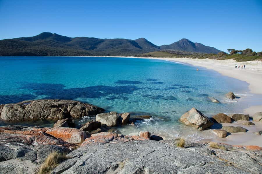 Tasmania: Wilderness and Wildlife Guided 6-Day Tour - What This Tour Means for You