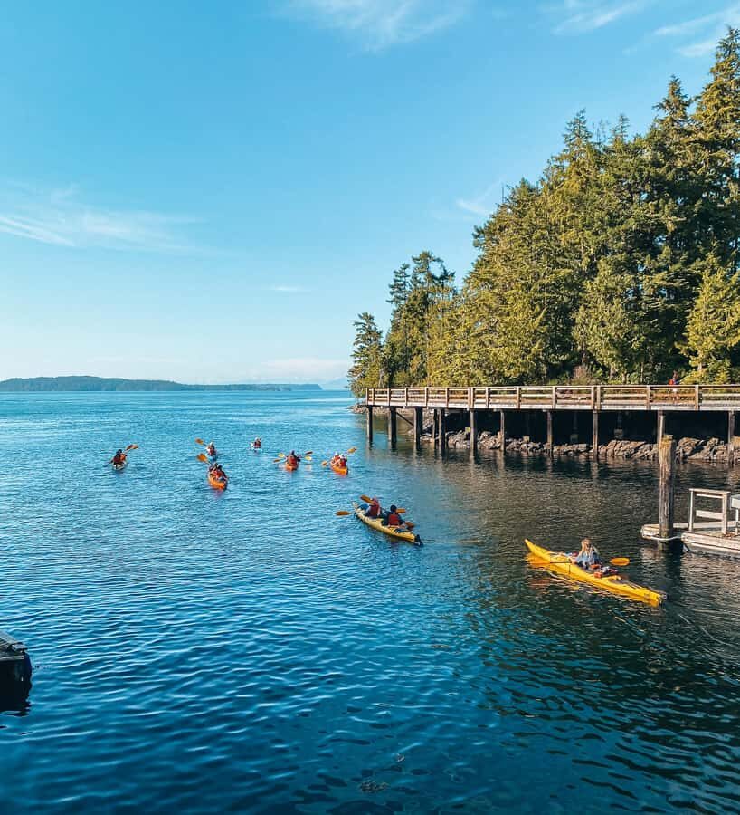 Telegraph Cove: 2-Hour Day or Evening Kayaking Tour - What You’ll See and Experience