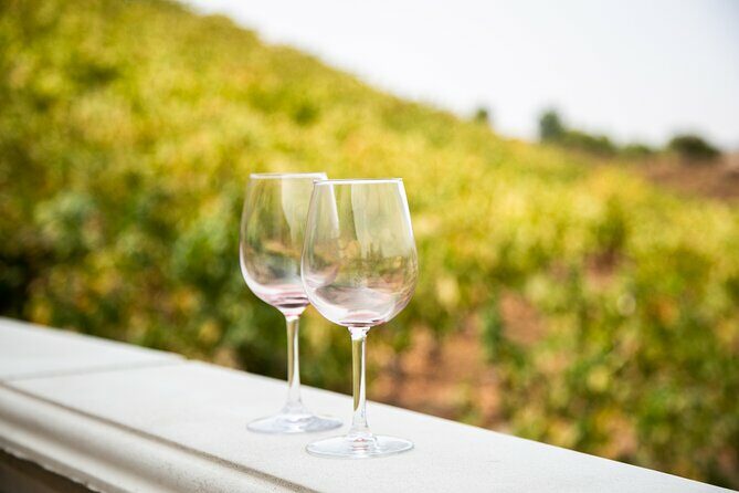 Temecula Wine Tour from Orange County - What Reviewers Say