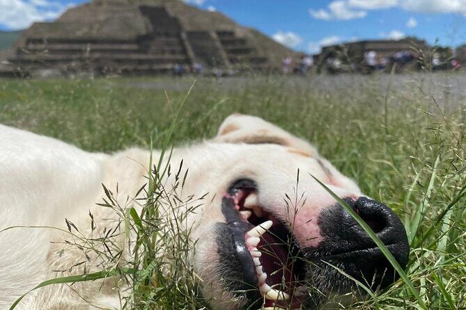 Teotihuacan Pyramids Morning Tour With Me, Angela! - The Value of This Tour