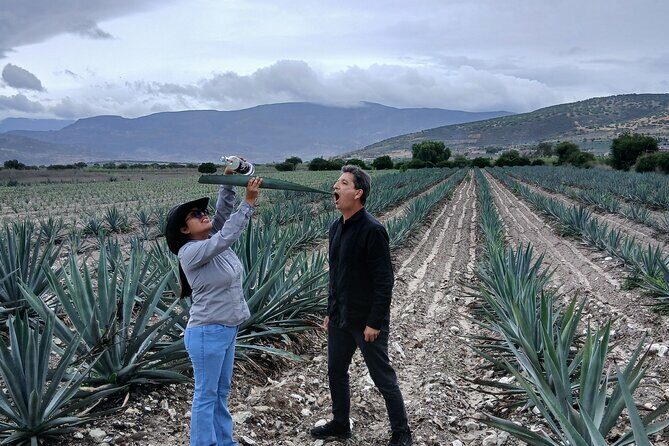 The Mezcal Tour - Who Would Love This Tour?