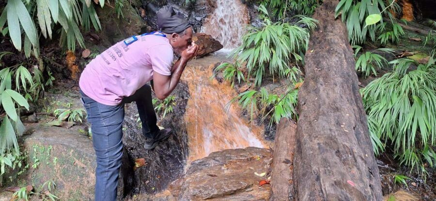 The Tobago Rainforest Tour - The Experience: Why It Works