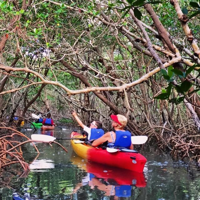 Tierra Verde FL: Coastal Kayaking Tour in Shell Key - Who Would Enjoy This Tour?