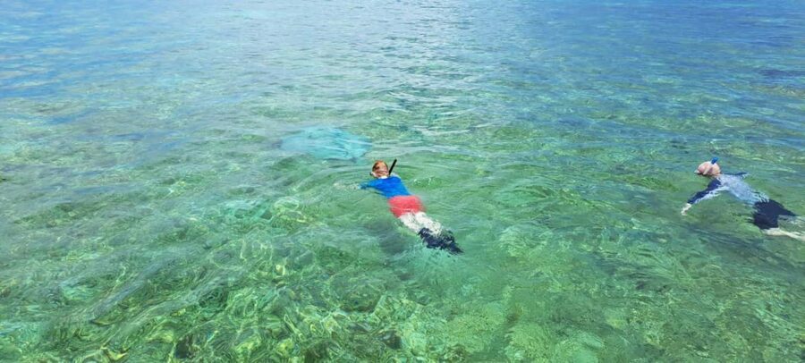 Tobago: Coral Reef Boat Tour with BBQ and Transfer - The Experience in Context