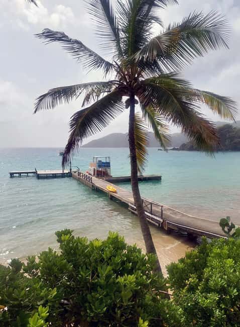 Tobago: Little Tobago Bird Sanctuary Visit and Boat Tour - Why This Tour Is Worth Considering