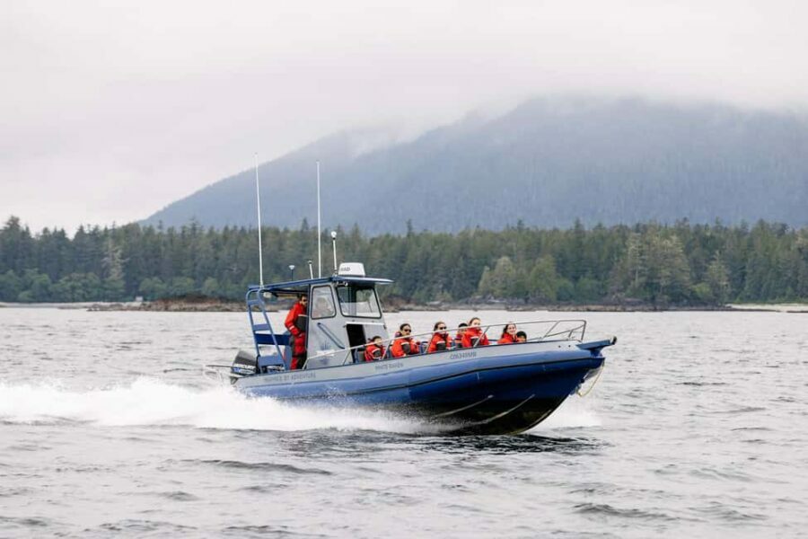 Tofino: Whale Watching Tour with Nature Guide - What You’ll See and Learn