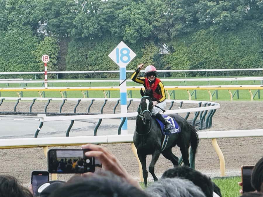 Tokyo: Horse Racing Experience with Local Fan - Transportation and Logistics