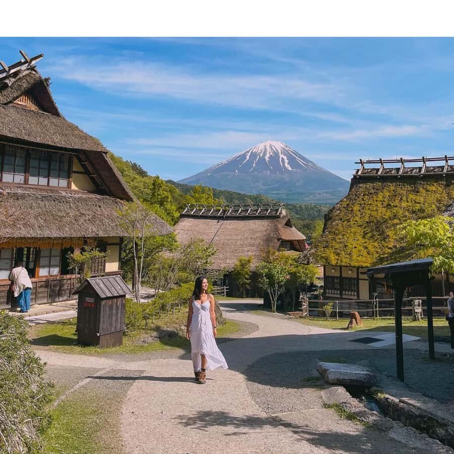 Tokyo: Mount Fuji Must See Private Tour Adjustable Itinerary - Authentic Experiences and Practical Tips