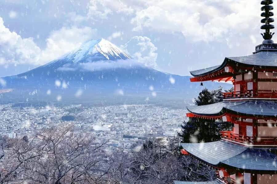 Tokyo: Mt Fuji Chureito Pagoda Lake Kawaguchi&Oshino Hakkai - What to Expect on the Day