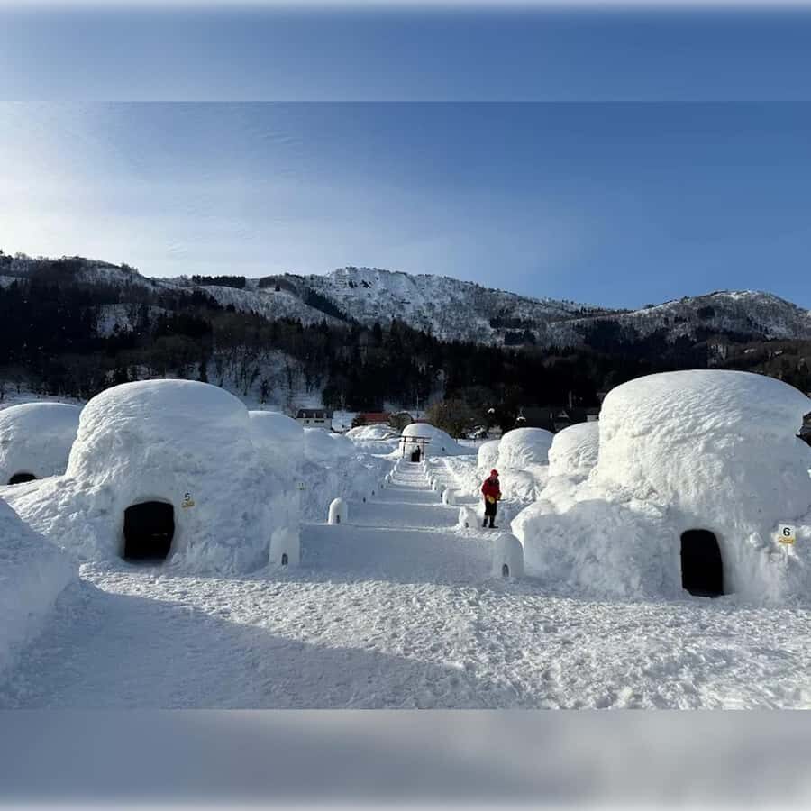 Tokyo: Nagano Private Tour with Igloo Village & snow Monkeys - Who Would Love This Tour?