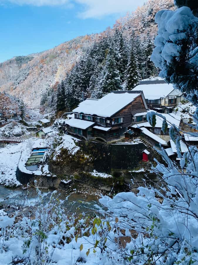 Tokyo/Nagano: private Tour with Snow Monkey Park & Temples - Exploring Nagano: What You Can Expect