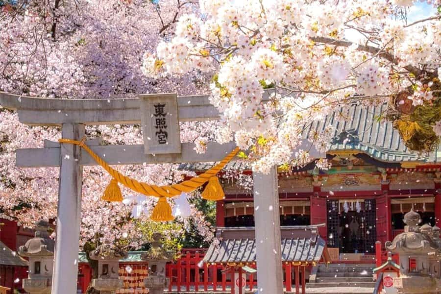 Tokyo: Nikko Shrines, Waterfalls & Scenic Day Trip - Authentic Experiences and What to Expect