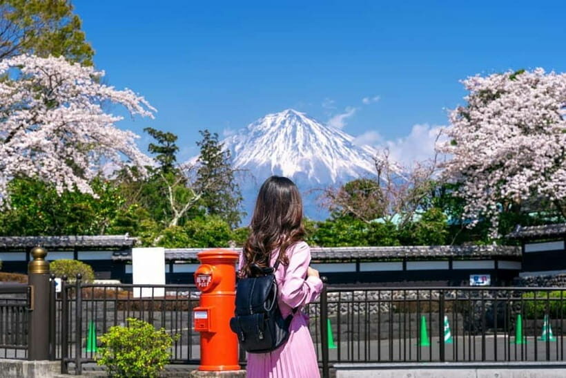 Tokyo: Private Mount Fuji Day Trip with Private Guide - Who This Tour Is Best For