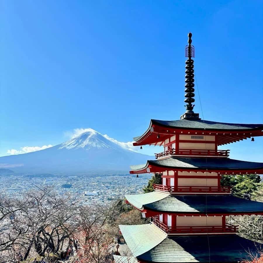 Tokyo: Private Mt. Fuji & Hakone Day Tour by Luxury Car - Visiting Mt. Fuji: The Iconic Mountain and Surroundings