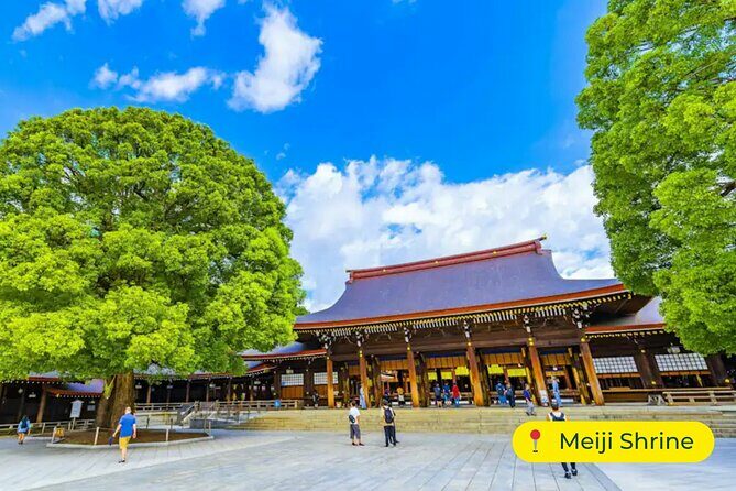 Tokyo Private Tour by Car with English-Speaking Driver (Premium) - A Detailed Look at the Itinerary