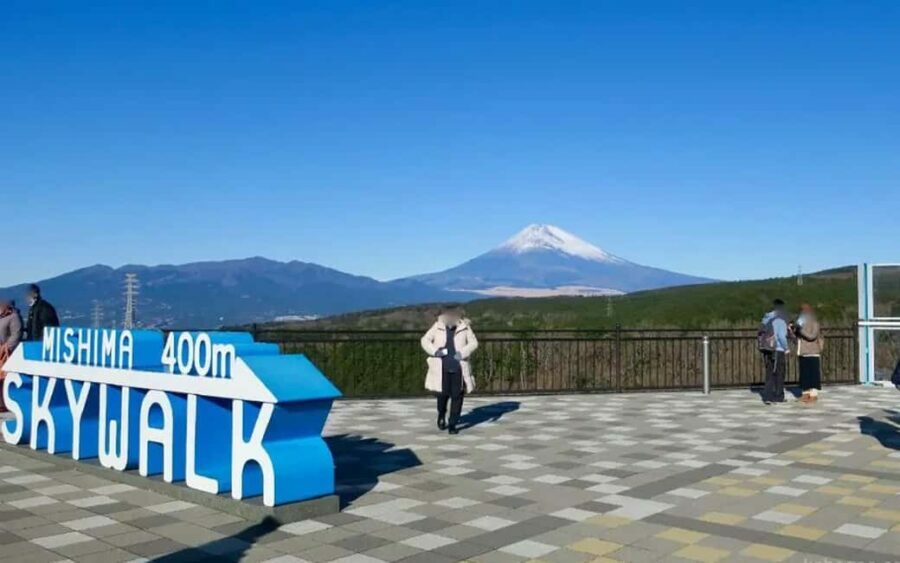 Tokyo:Customizable Private Day Trip to Mt.Fuji & Safari Park - A Deep Dive into the Experience