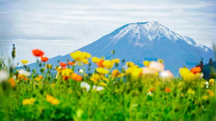 Tokyo:Mt. Fuji 5th Station&Onsen Day Trip | Seasonal Special - Authenticity and Value: The Real Experience
