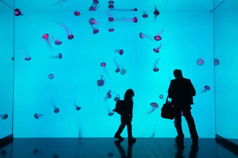 Toronto: Ripley's Aquarium of Canada Entry Ticket - The Itinerary Breakdown: What’s Special About Each Stop