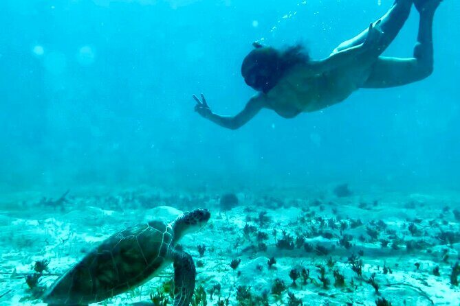 Tortola Private Tour and Snorkeling in the most beautiful beaches - FAQs