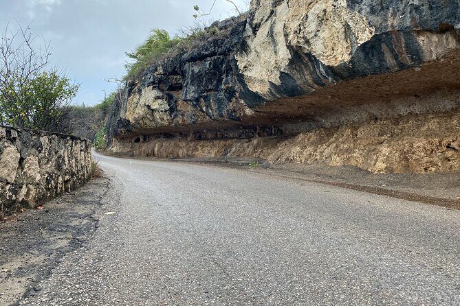 Tour in North and South Bonaire Guided - What You Can Expect on the Itinerary