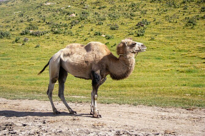 Tour Kegeti gorge , Burana Tower, canyons Kok Moynok, Issyk Kul - Practical Details & Experience