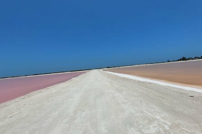 Tour of the Coloradas Yucatan and Cenote from Valladolid - The Experience: What To Expect