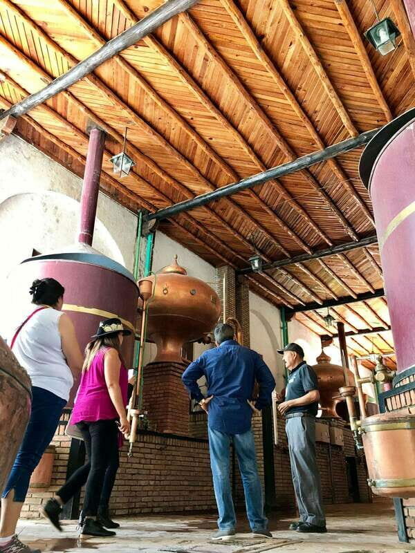 Tour "Parras de la Fuente" + Guía + Traslados + Tickets - What’s Included and What’s Not