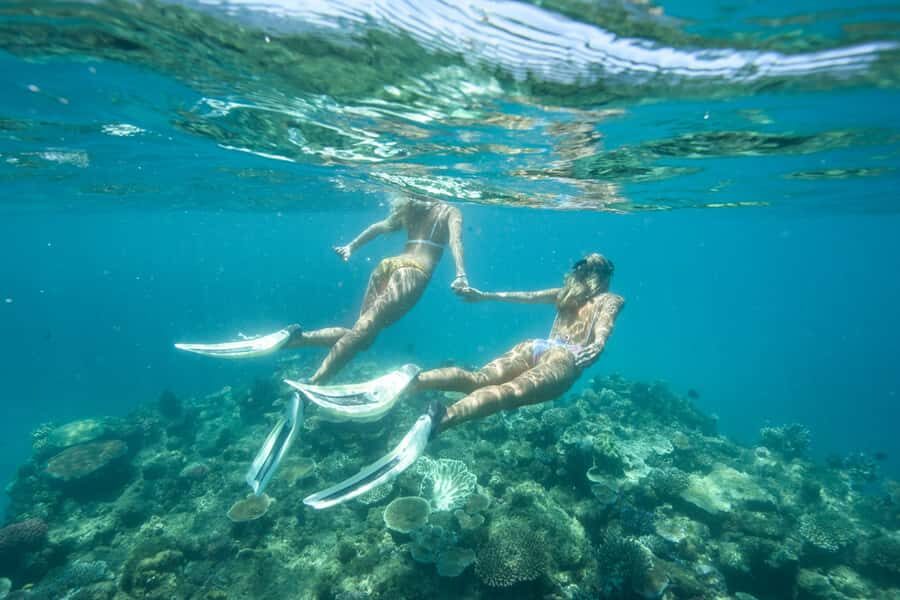 Townsville & Magnetic Island: Reef Explorer Snorkel Trip - The Experience on the Vessel