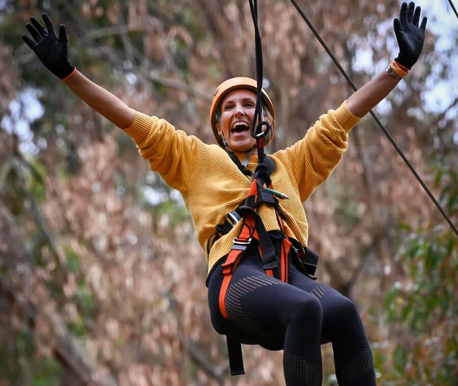 TreeClimb Kuitpo Forest: Exciting Treetop Climbing Adventure - Who Will Love This Experience?